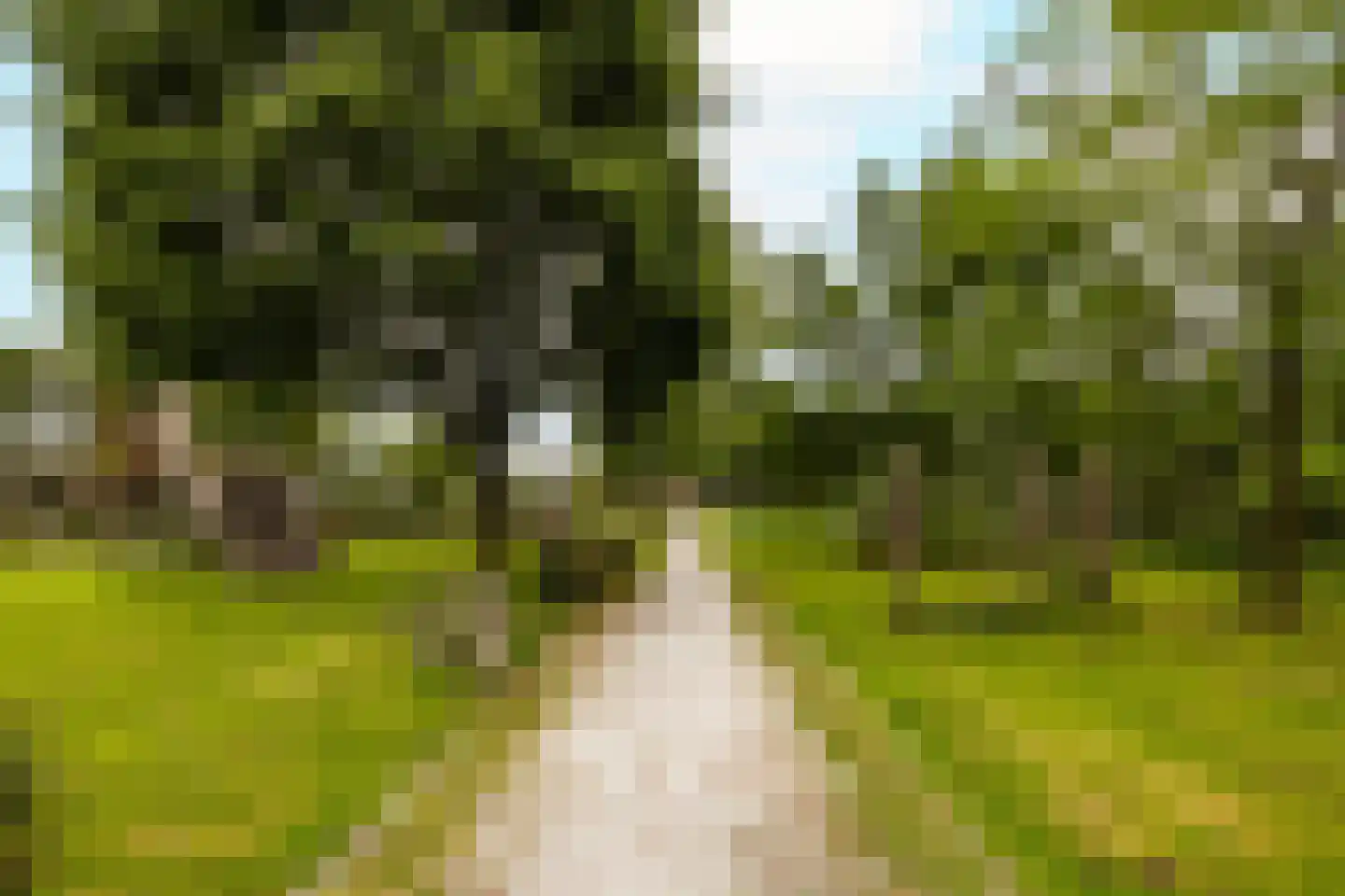 's-Heerenbergstraat 2 b Schoonhoven thumbnail 55