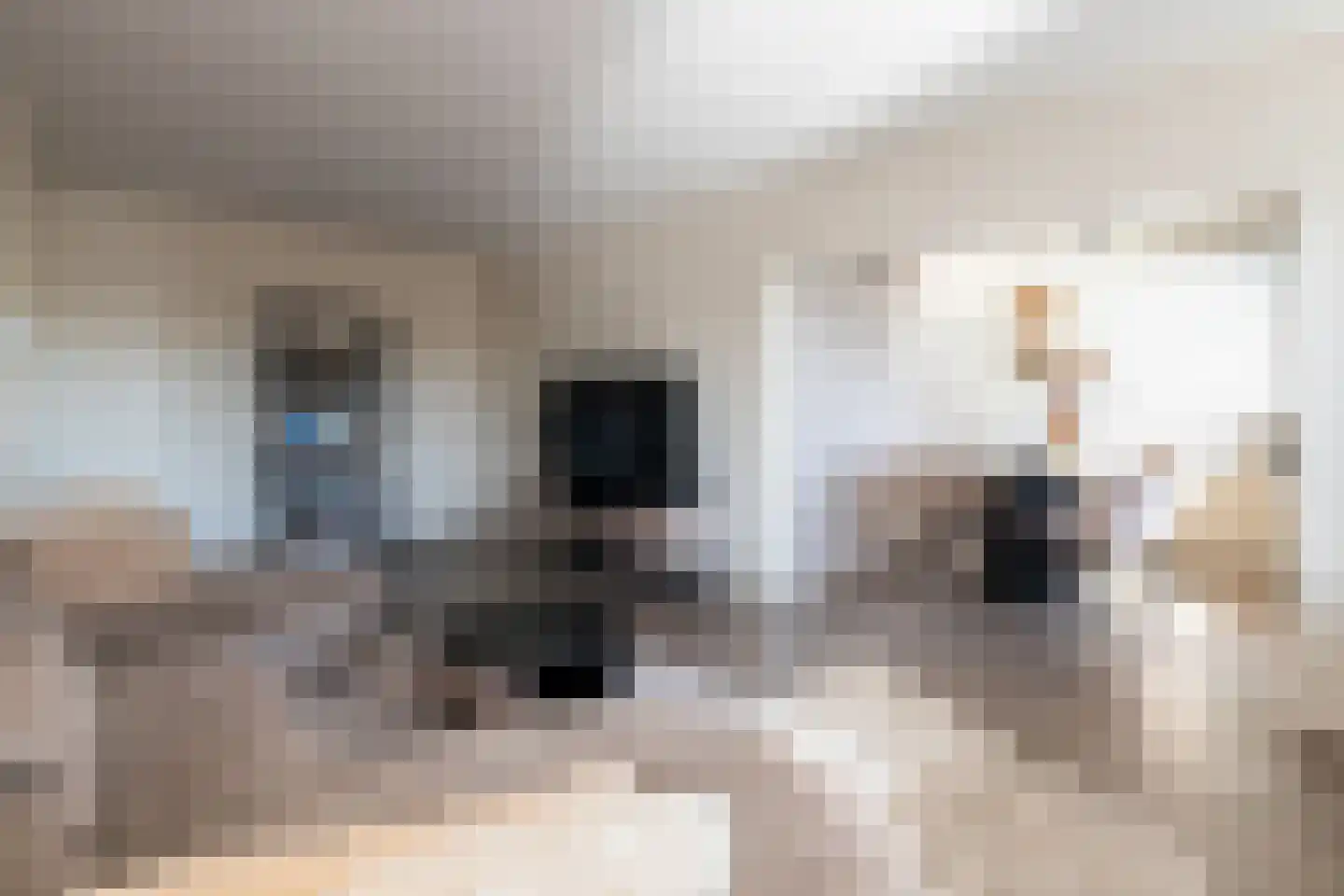 's-Heerenbergstraat 4 b Schoonhoven thumbnail 18