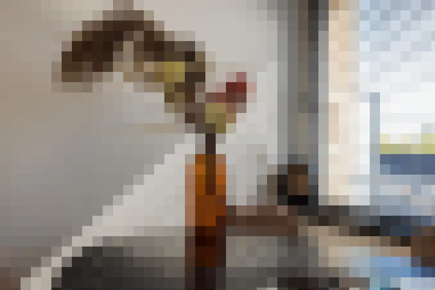 's-Heerenbergstraat 4 b Schoonhoven thumbnail 21