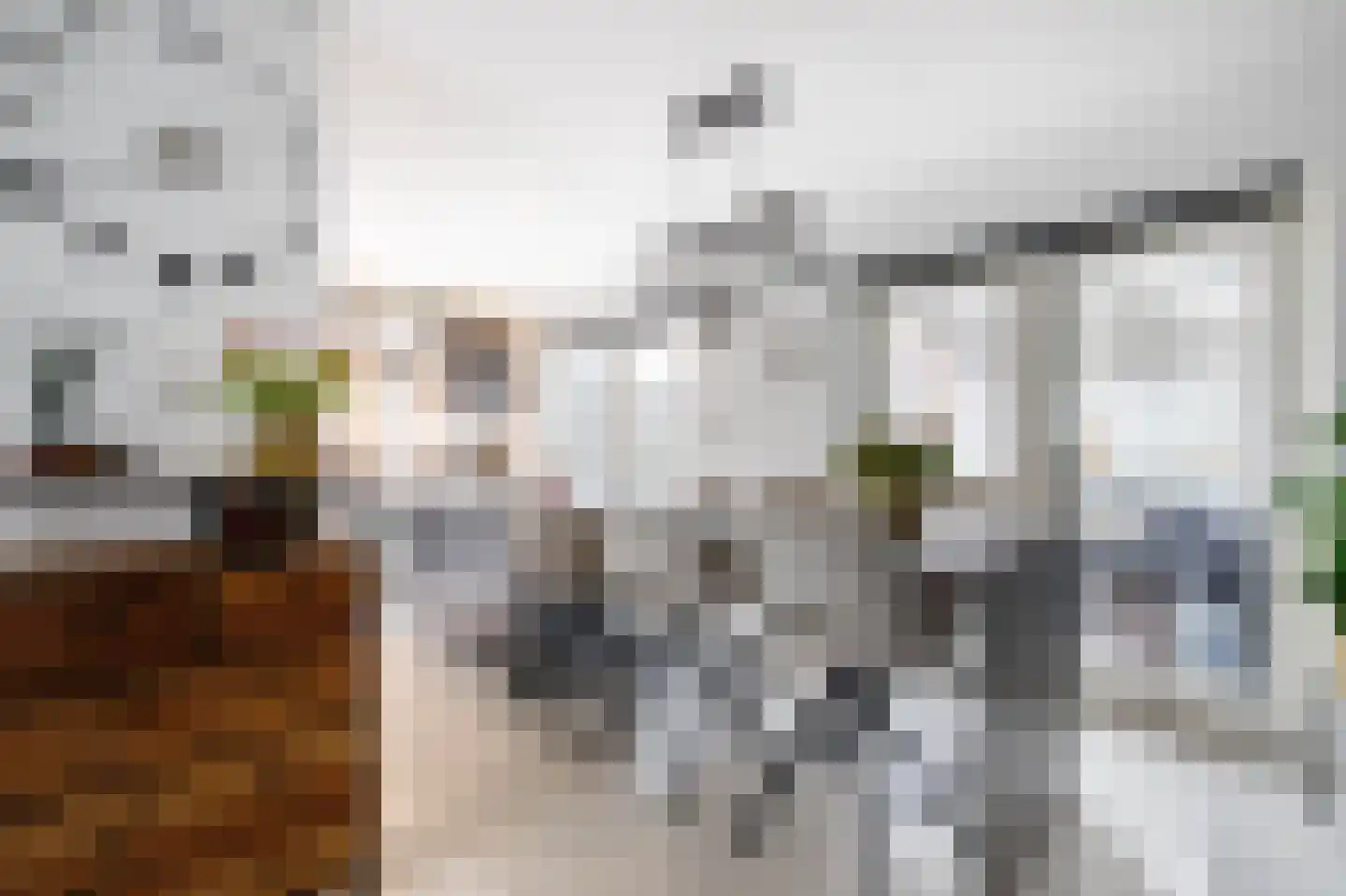 's-Heerenbergstraat 47 Schoonhoven thumbnail 11