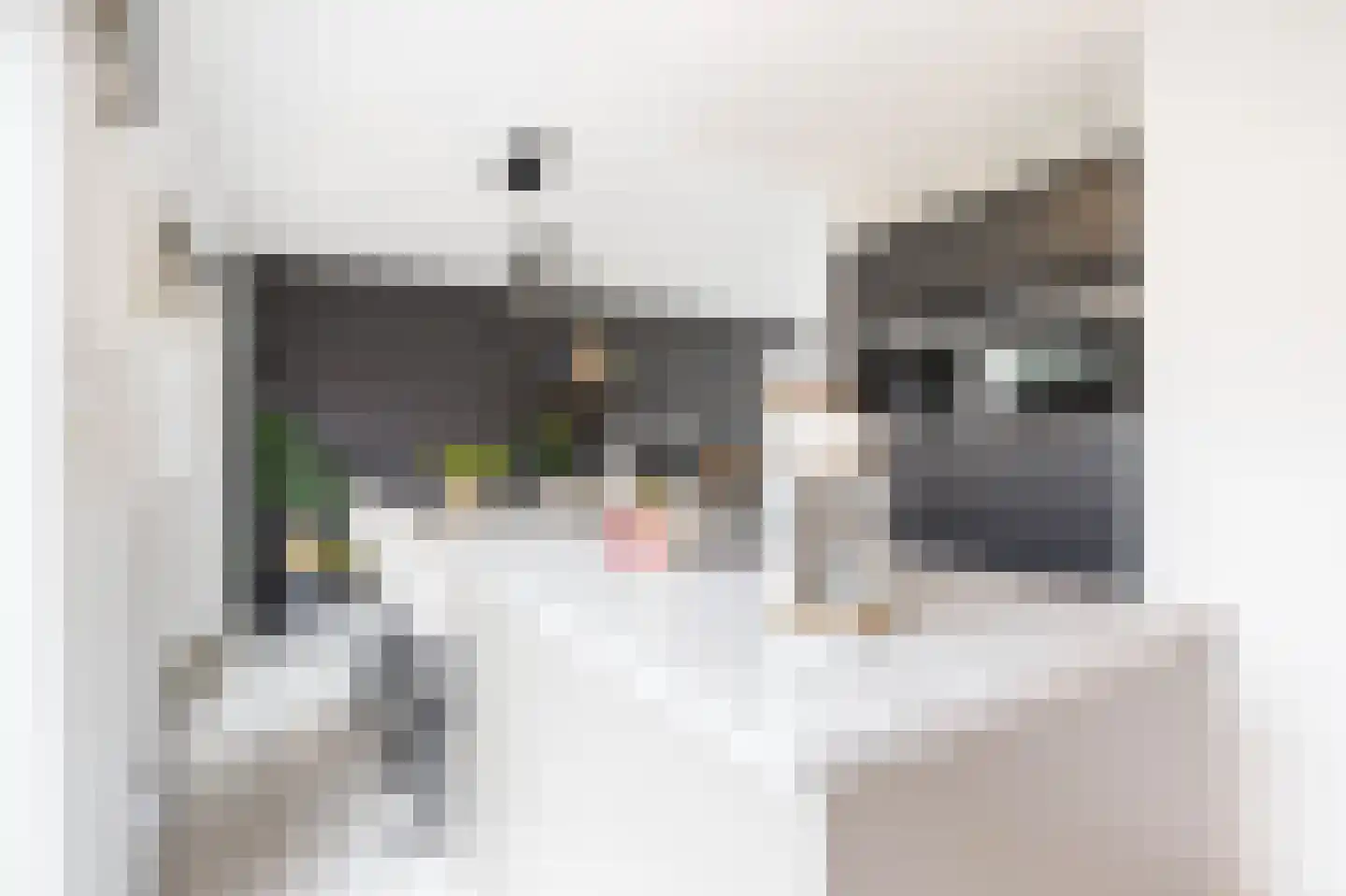 's-Heerenbergstraat 47 Schoonhoven thumbnail 13