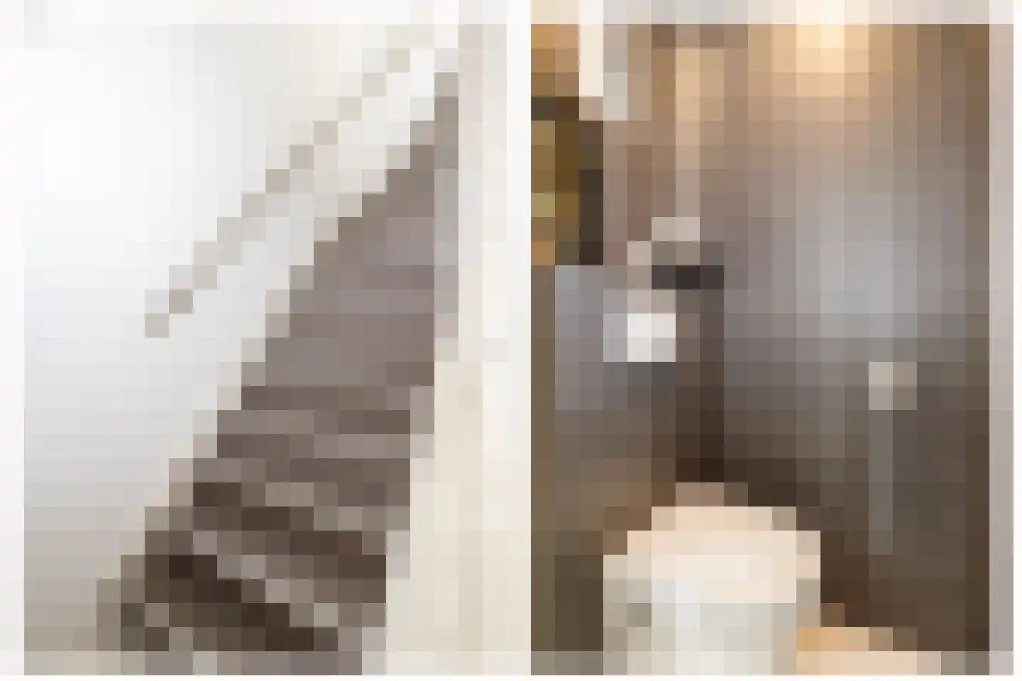 's-Heerenbergstraat 47 Schoonhoven thumbnail 7