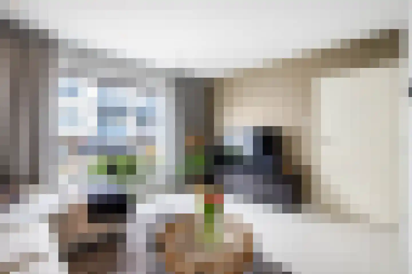 's-Heerenbergstraat 47 Schoonhoven thumbnail 8