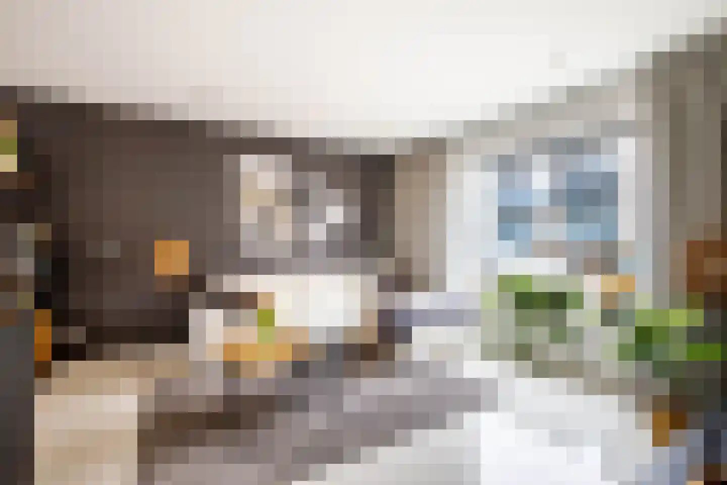 's-Heerenbergstraat 47 Schoonhoven thumbnail 9