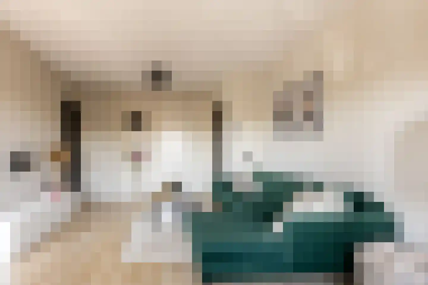 's-Heerenbergstraat 6 b Schoonhoven thumbnail 11