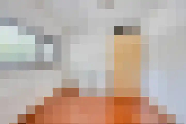 's-Herenelderenlaan 11 B Maastricht thumbnail 18