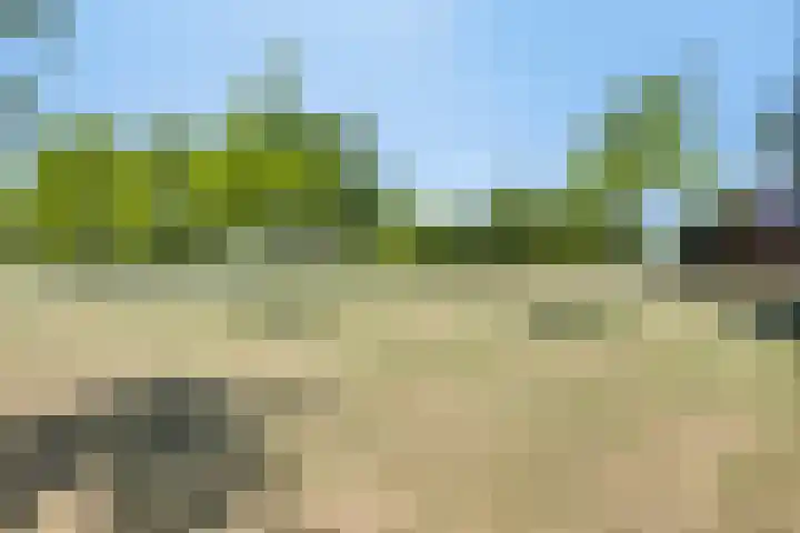 's-Herenelderenlaan 11 B Maastricht thumbnail 23