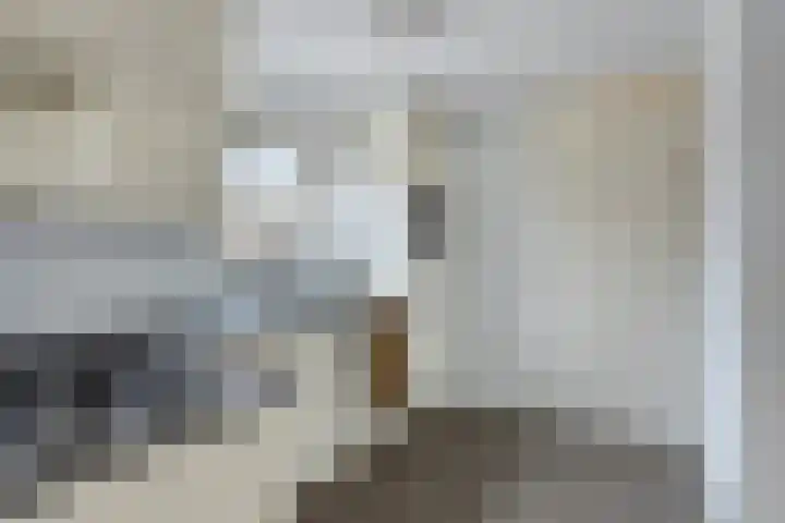 's-Herenelderenlaan 26 Maastricht thumbnail 11