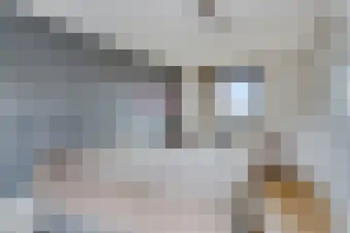 's-Herenelderenlaan 26 Maastricht thumbnail 15