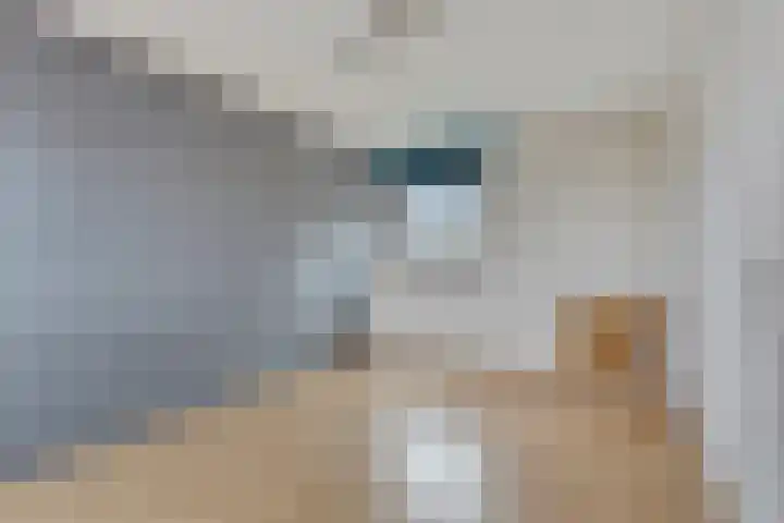 's-Herenelderenlaan 26 Maastricht thumbnail 21