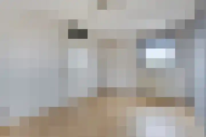 's-Herenelderenlaan 26 Maastricht thumbnail 22