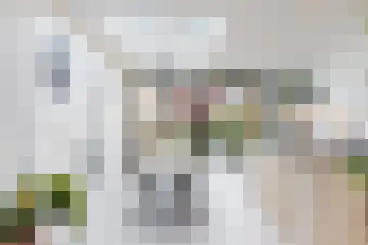 's-Herenstraat 13 Maasland thumbnail 18