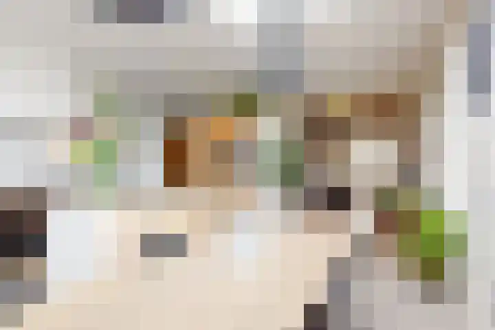 's-Herenstraat 13 Maasland thumbnail 20