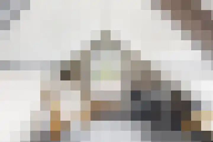 's-Herenstraat 13 Maasland thumbnail 41