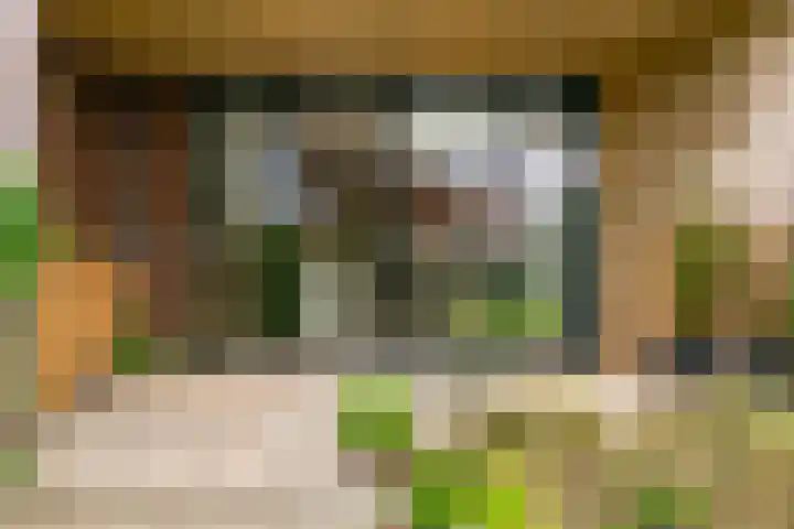 's-Herenstraat 13 Maasland thumbnail 48