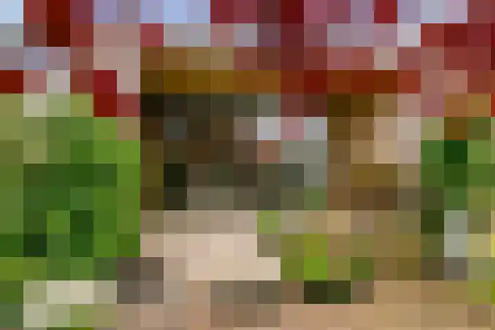's-Herenstraat 13 Maasland thumbnail 49