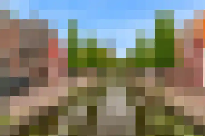 's-Herenstraat 13 Maasland thumbnail 6
