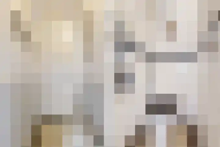 's-Herenstraat 13 Maasland thumbnail 9