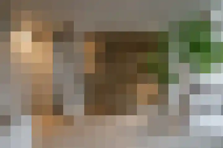 's-Herenstraat 56 Maasland thumbnail 13