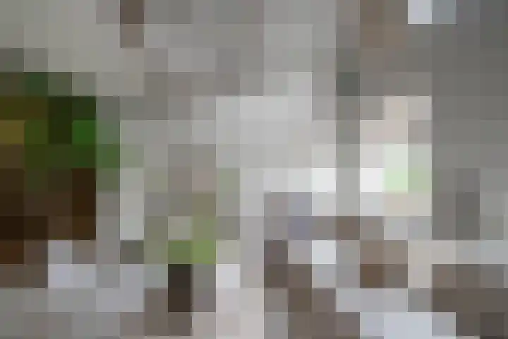 's-Herenstraat 56 Maasland thumbnail 14