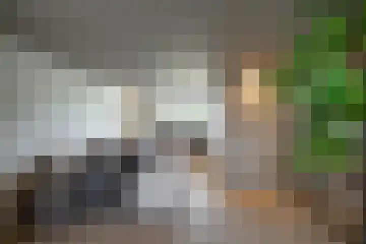 's-Herenstraat 56 Maasland thumbnail 17