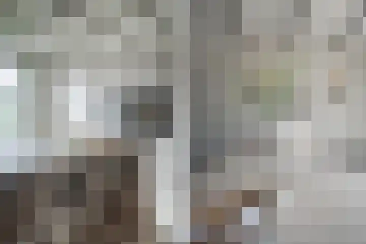 's-Herenstraat 56 Maasland thumbnail 18