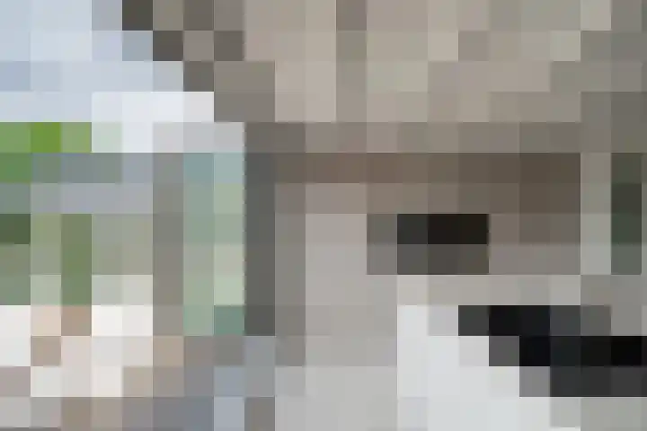 's-Herenstraat 56 Maasland thumbnail 23