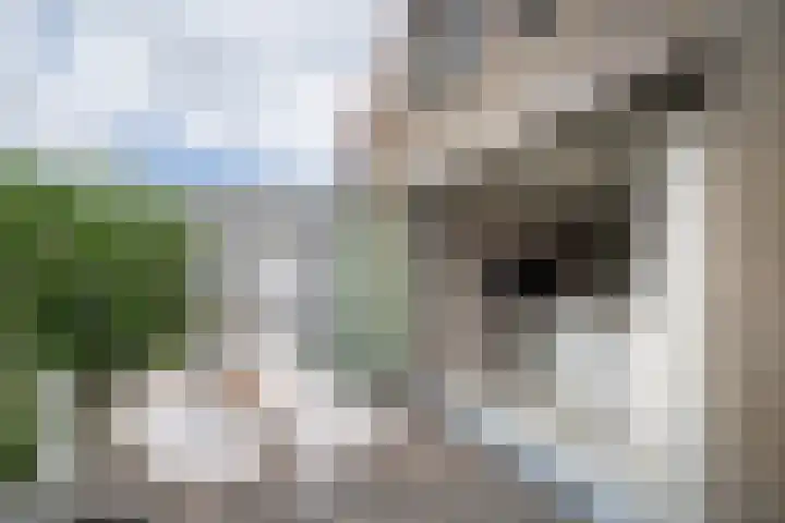 's-Herenstraat 56 Maasland thumbnail 25