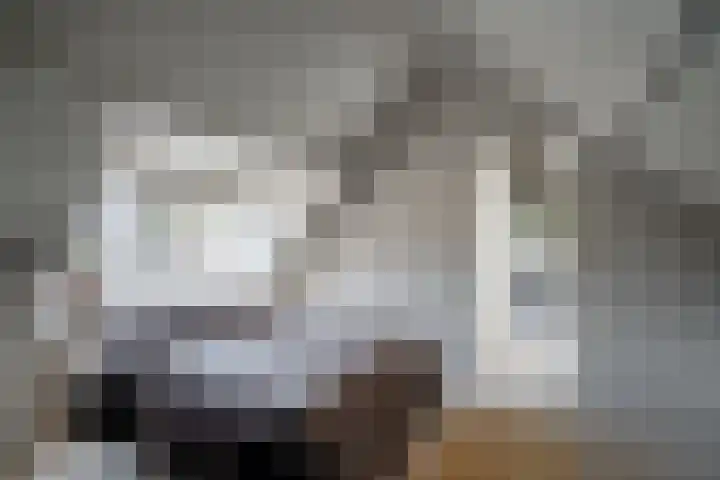 's-Herenstraat 56 Maasland thumbnail 32
