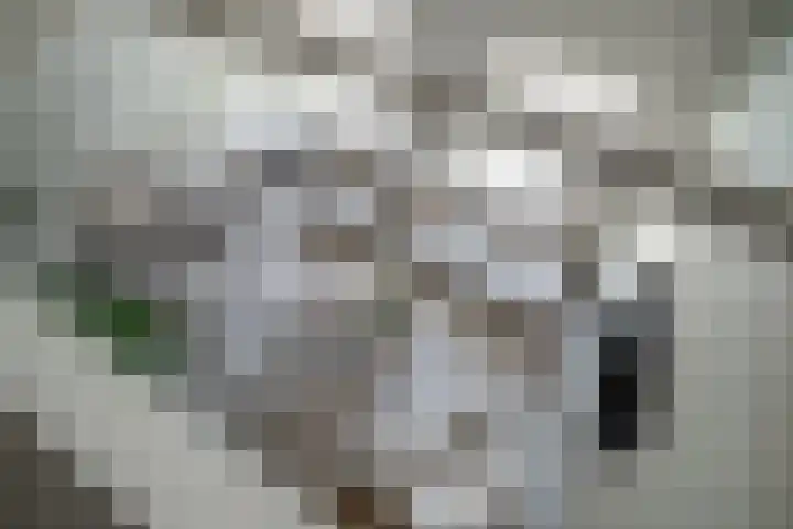 's-Herenstraat 56 Maasland thumbnail 34