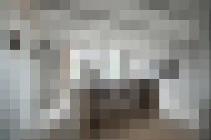 's-Herenstraat 56 Maasland thumbnail 4