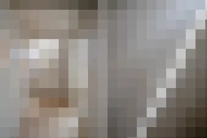 's-Herenstraat 56 Maasland thumbnail 8