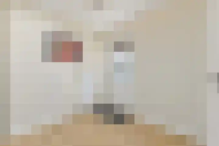 's-Herenstraat 6 Maasland thumbnail 12