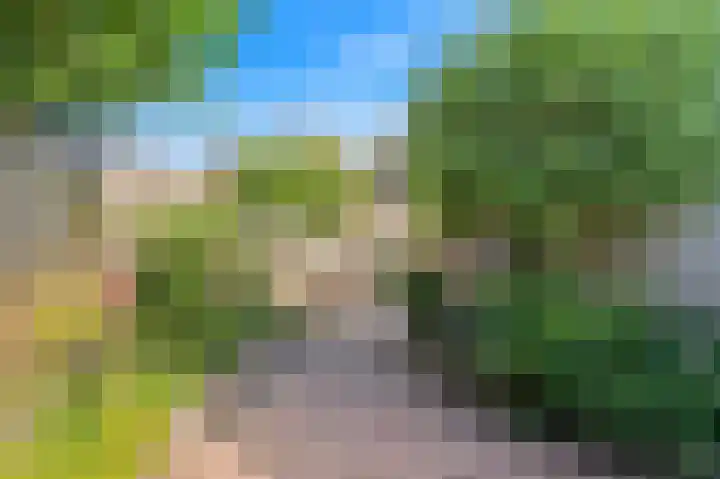 's-Herenstraat 6 Maasland thumbnail 22