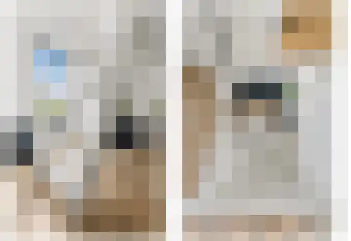 's-Herenstraat 6 Maasland thumbnail 23