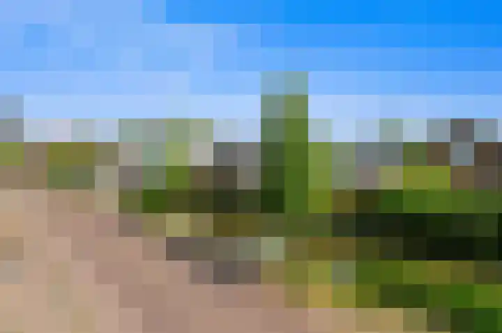 's-Herenstraat 6 Maasland thumbnail 31