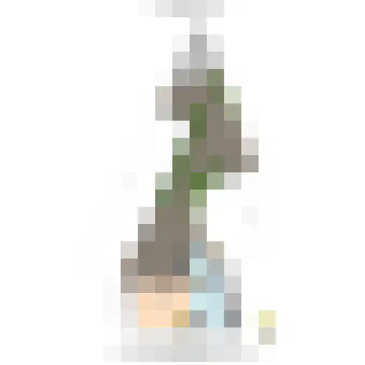 's-Herenstraat 6 Maasland thumbnail 33