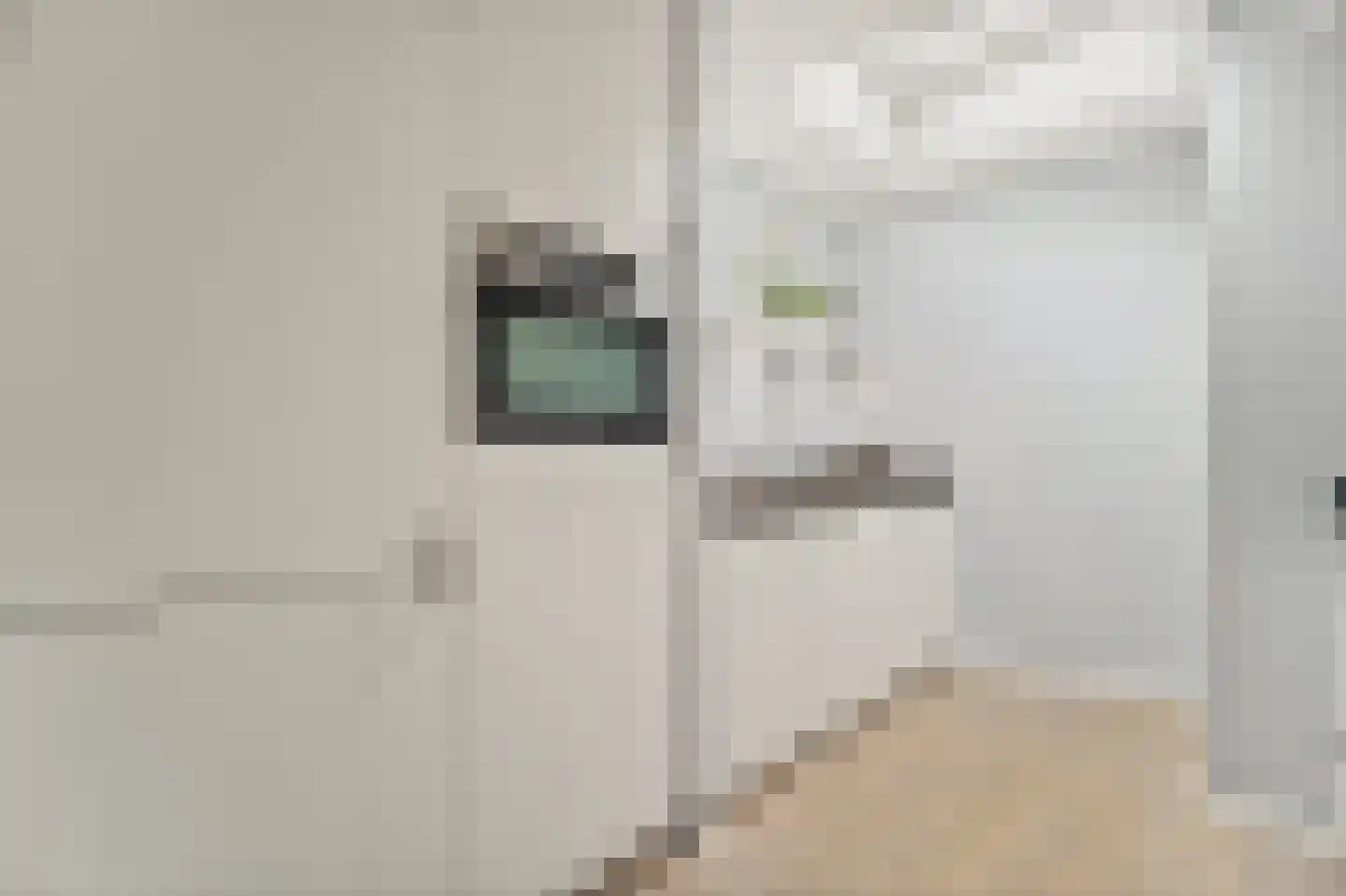 's-Herenstraat 62 Maasland thumbnail 12