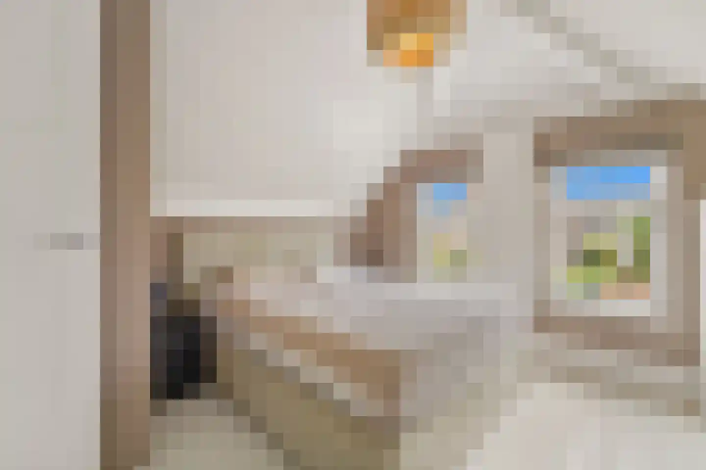 's-Herenstraat 62 Maasland thumbnail 24