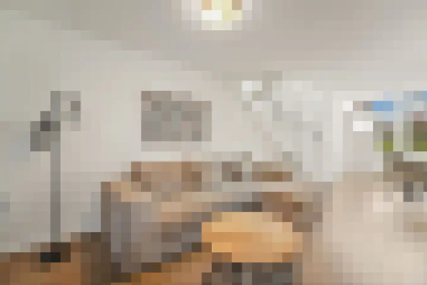 's-Herenstraat 62 Maasland thumbnail 7