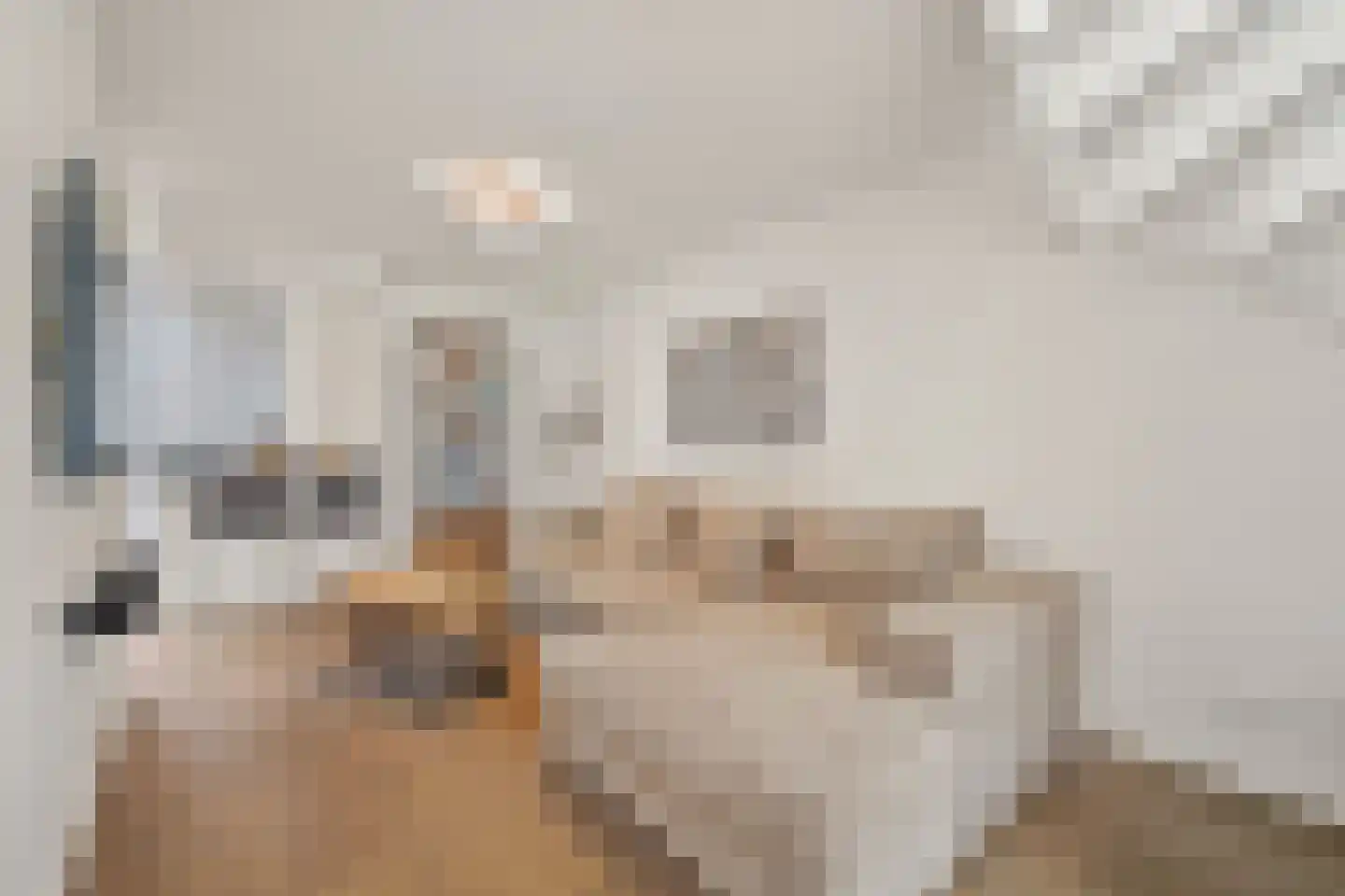 's-Herenstraat 62 Maasland thumbnail 8