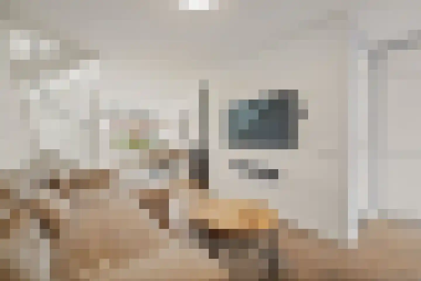 's-Herenstraat 62 Maasland thumbnail 9