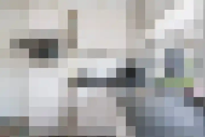 's-Herenstraat 82 Maasland thumbnail 18
