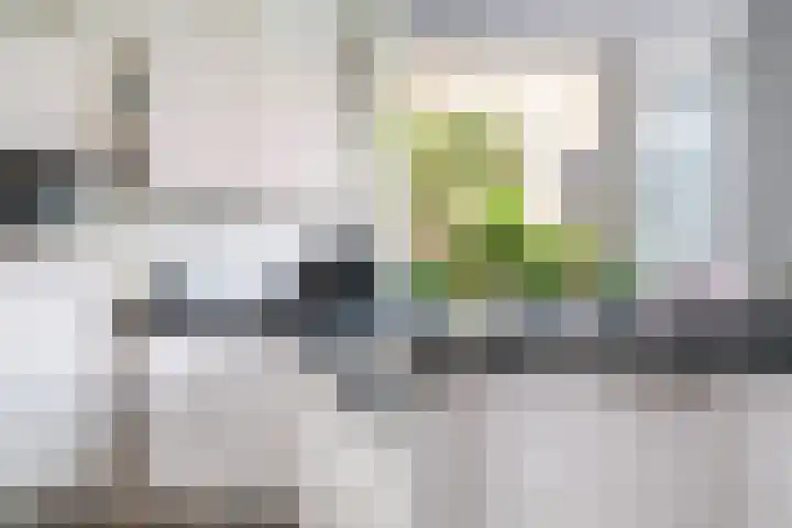 's-Herenstraat 82 Maasland thumbnail 19