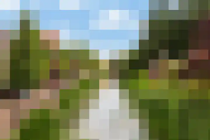 's-Herenstraat 82 Maasland thumbnail 4