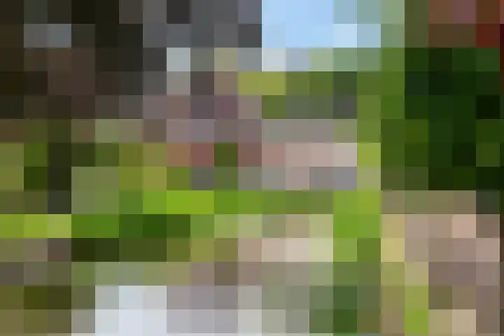 's-Herenstraat 82 Maasland thumbnail 41
