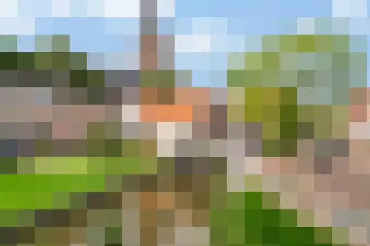 's-Herenstraat 82 Maasland thumbnail 42