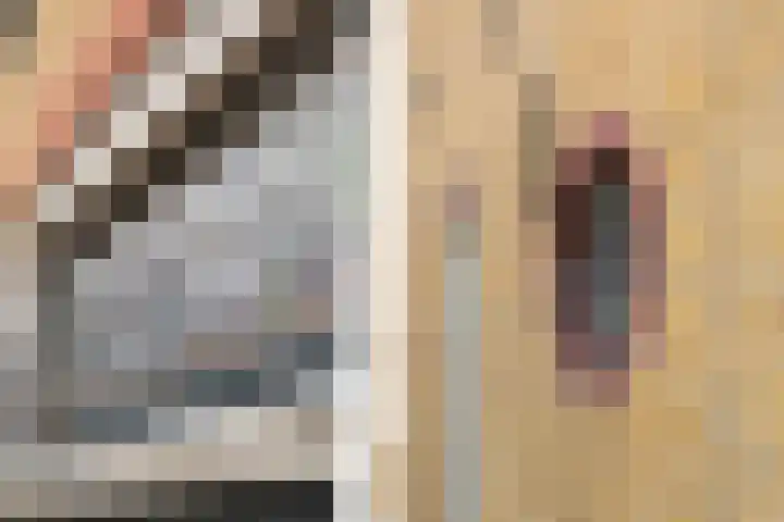 's-Herenstraat 82 Maasland thumbnail 8