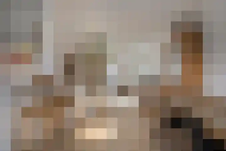 S. Hoogewerffstraat 35 Hilversum thumbnail 10