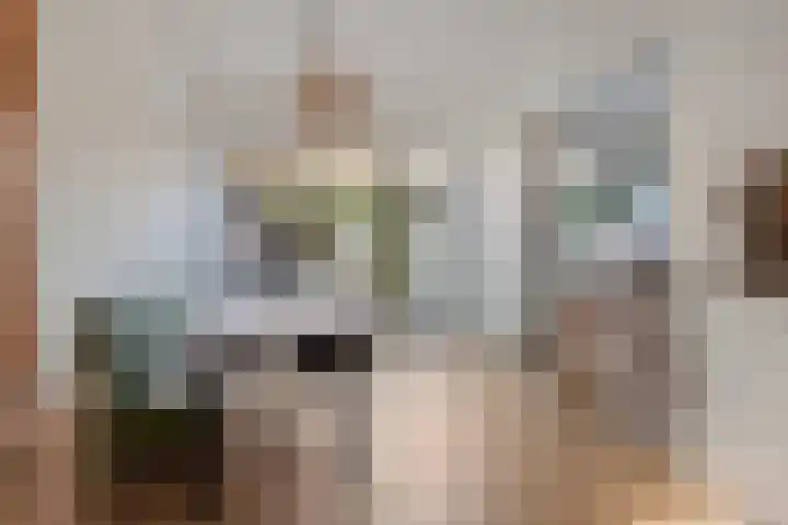 S. Hoogewerffstraat 35 Hilversum thumbnail 9